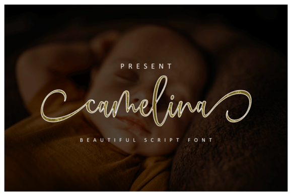Camelina Font for Modern Editorial Design