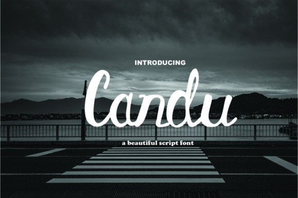 Candu: A Handwritten Font for Modern Campaigns