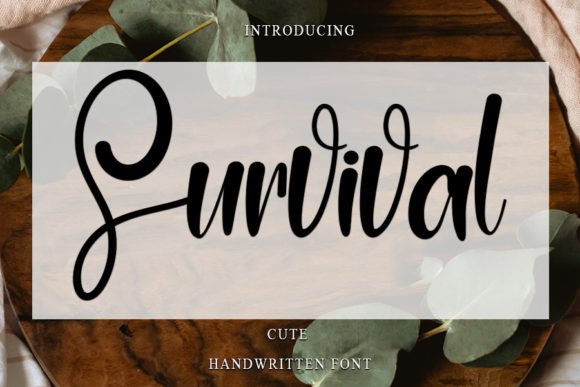 Survival Font for Web Design and Branding