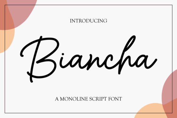 Testing Biancha for a Modern Website Design